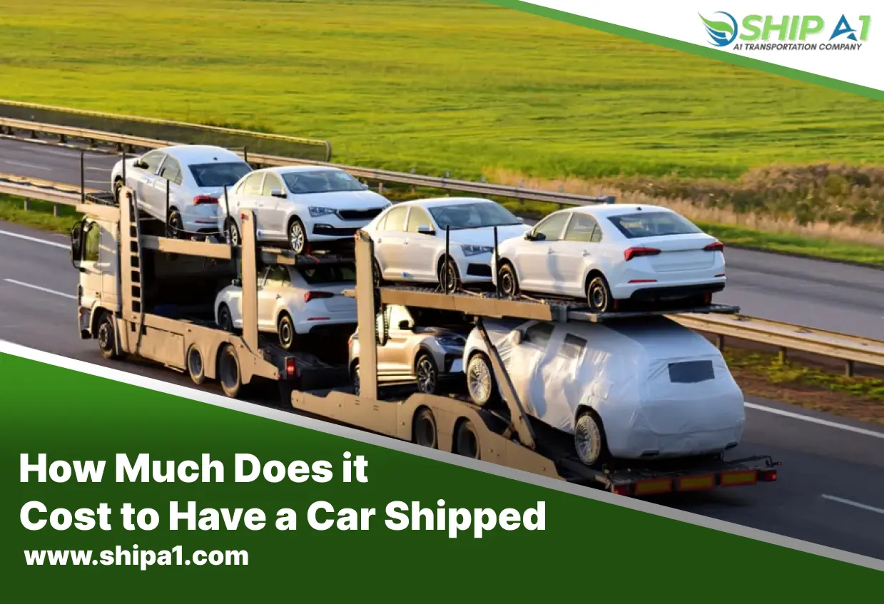 Affordable Car Shipping Costs
