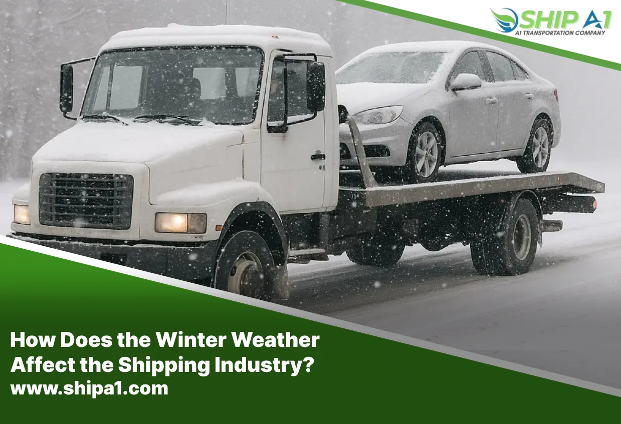 enclosed auto transport service