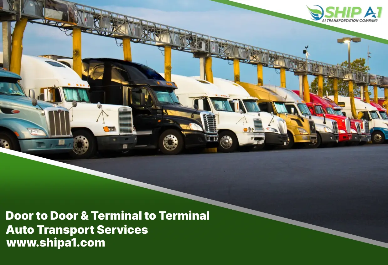 car shipping from state to state